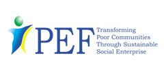 Peace and Equity Foundation